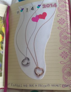 blog entry 1 photo112214