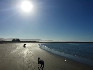 stroller on the beach